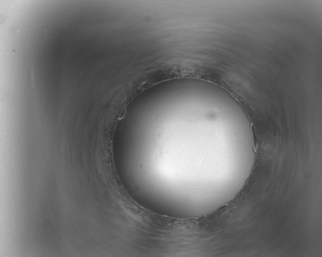 X0000072940865200607282201