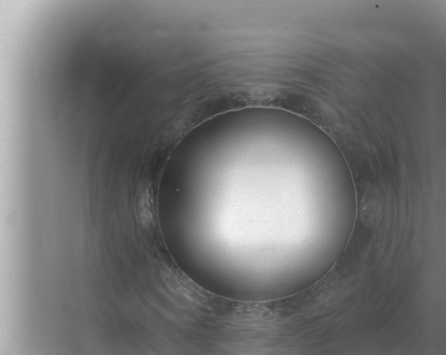 X0000072940866200607282201