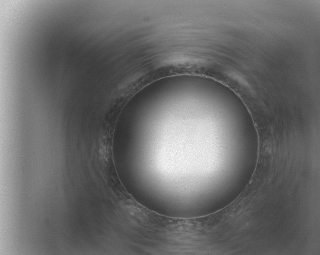 X0000072940869200607282201