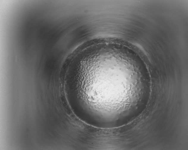 X0000072940871200607282201