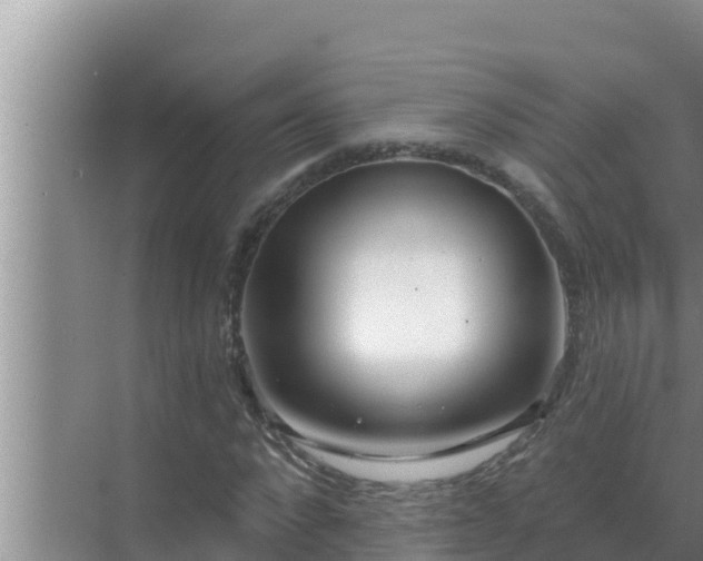 X0000072940872200607282201