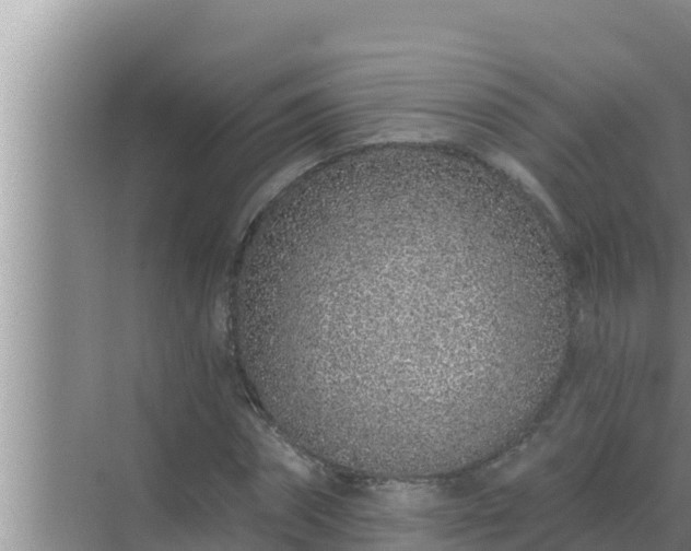 X0000072940874200607282200