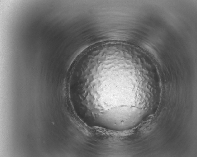 X0000072940875200607282200