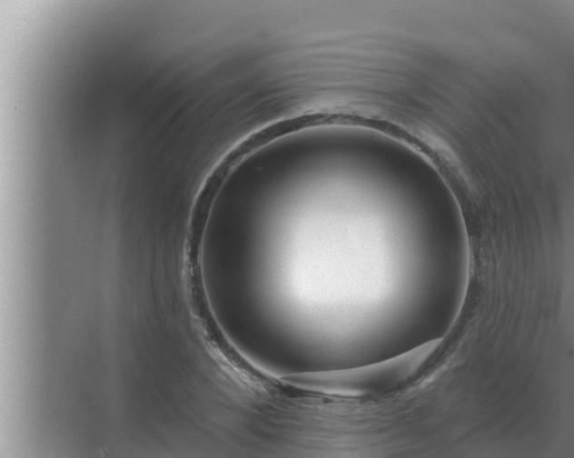 X0000072940880200607282200