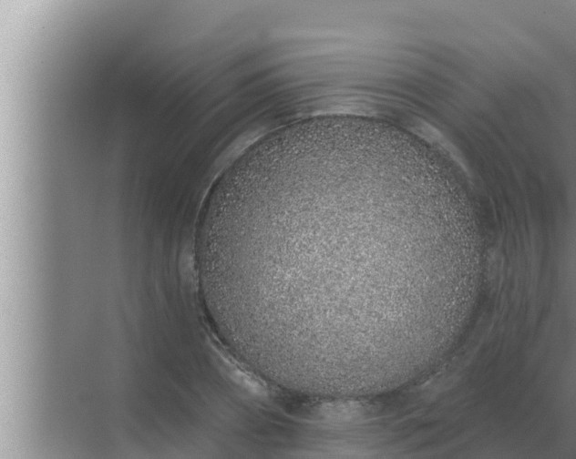 X0000072940882200607282200