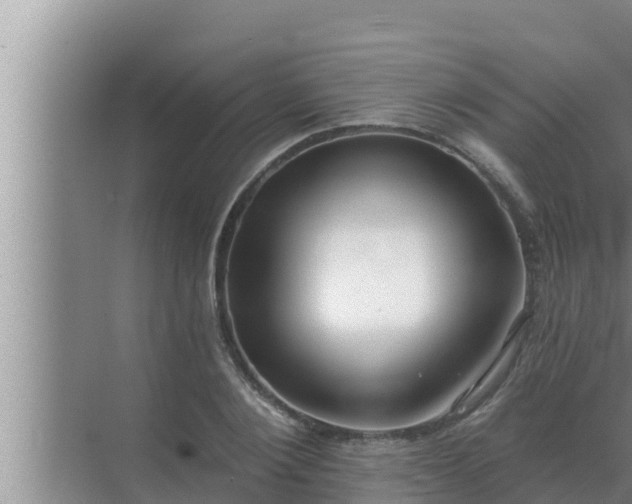 X0000072940884200607282200