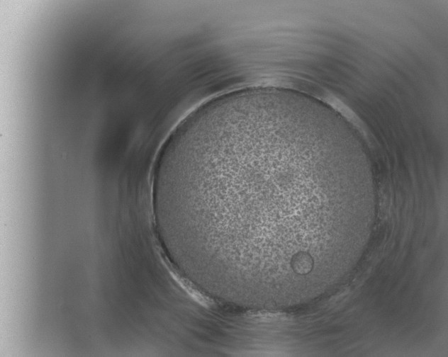 X0000072940886200607282200