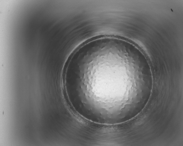 X0000072940887200607282200