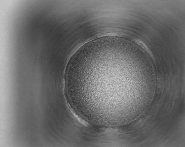 X0000072940890200607282200