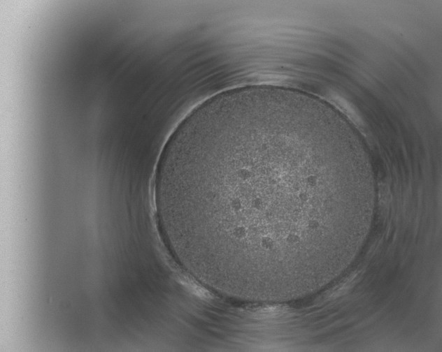 X0000072940891200607282200