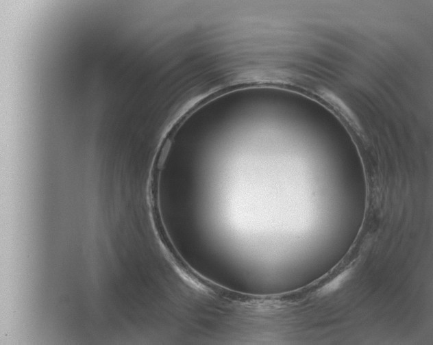 X0000072940893200607282200