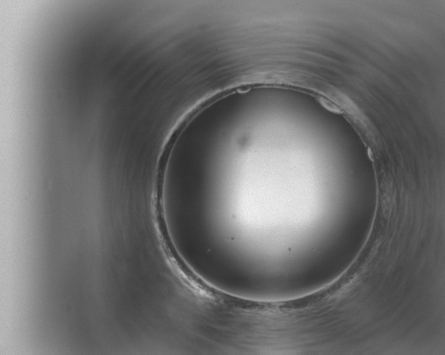 X0000072940896200607282200