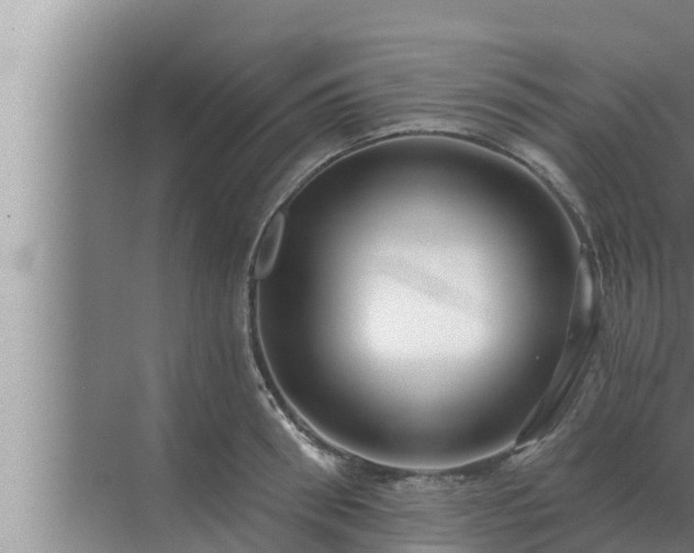 X0000072940898200607282200