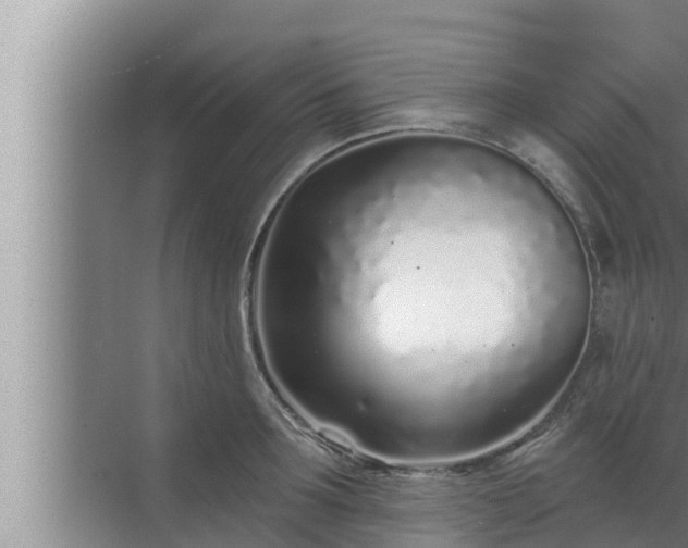 X0000072940899200607282200