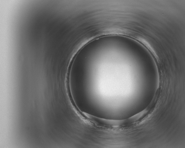 X0000072940901200607282200