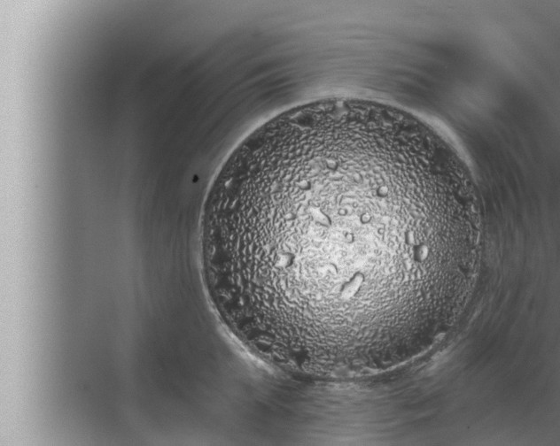 X0000072940903200607282200