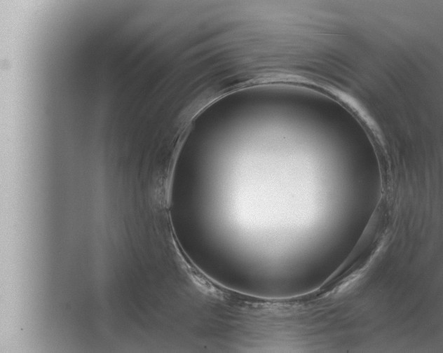 X0000072940905200607282200