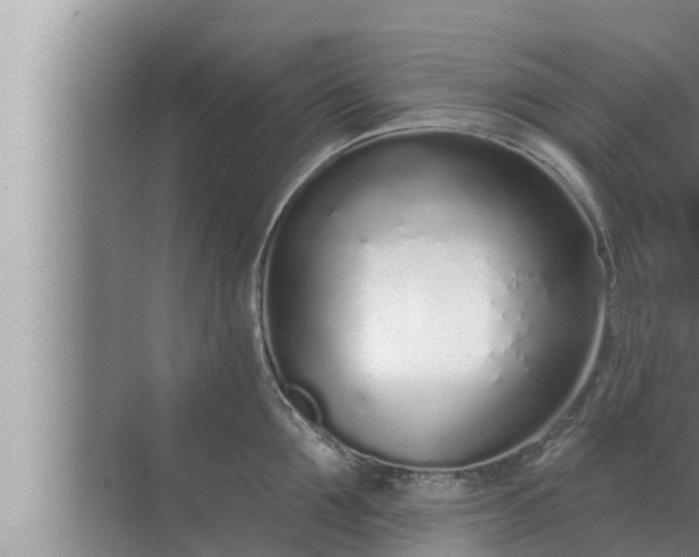 X0000072940907200607282200