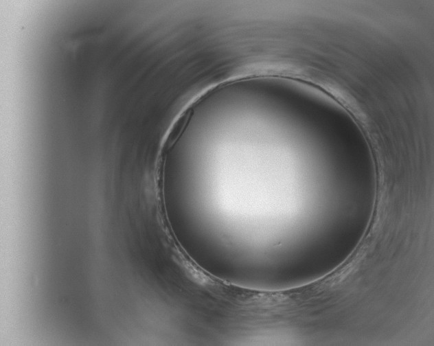 X0000072940912200607282200