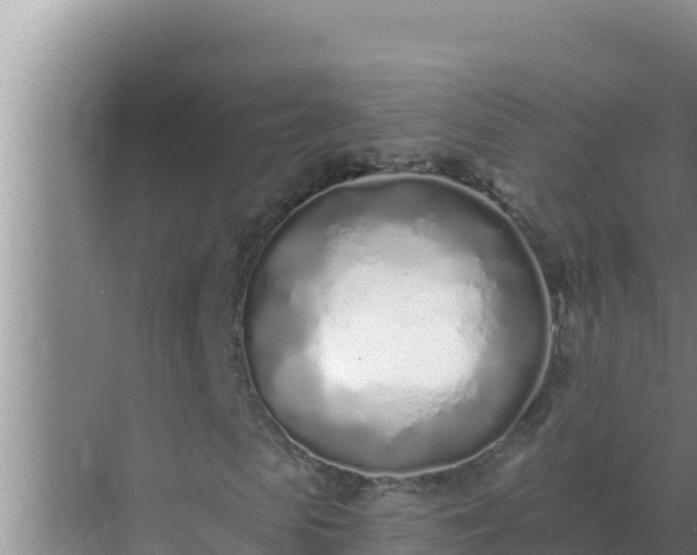 X0000072940913200607282159