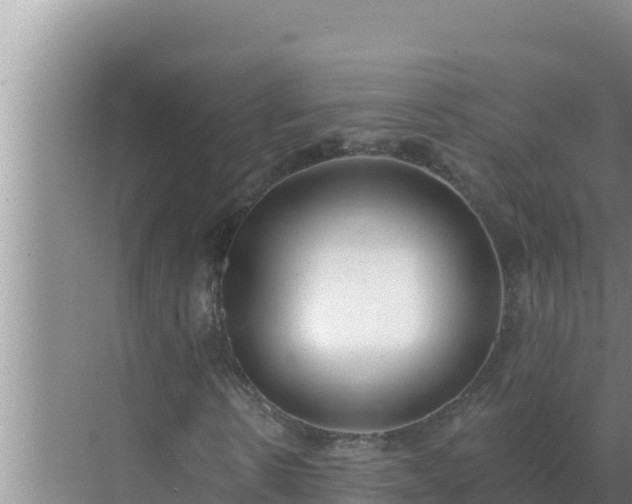 X0000072940914200607282159