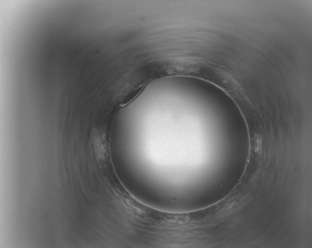 X0000072940915200607282159