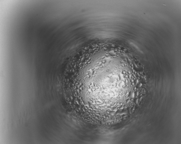 X0000072940917200607282159