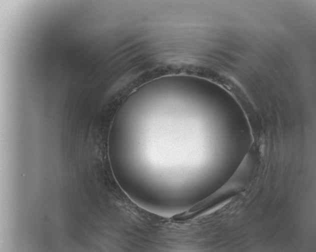 X0000072940919200607282159