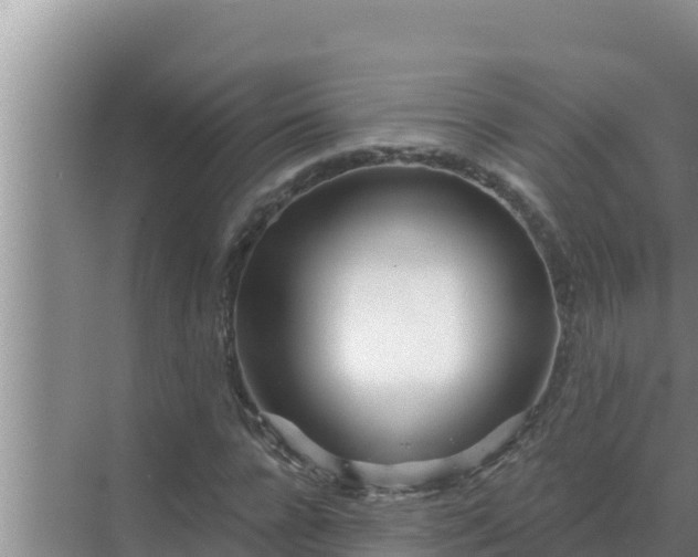 X0000072940920200607282159