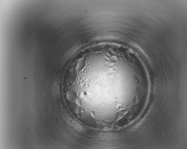 X0000072940921200607282159