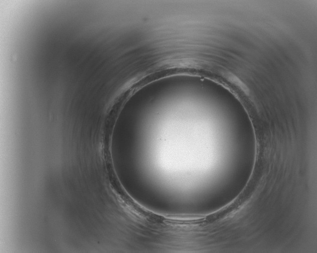 X0000072940922200607282159