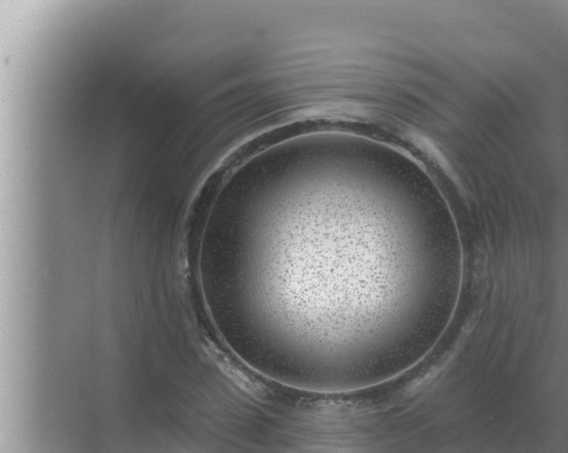 X0000072940923200607282159