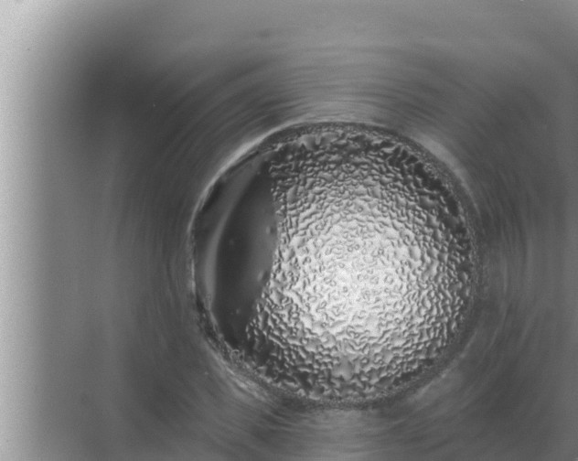 X0000072940925200607282159