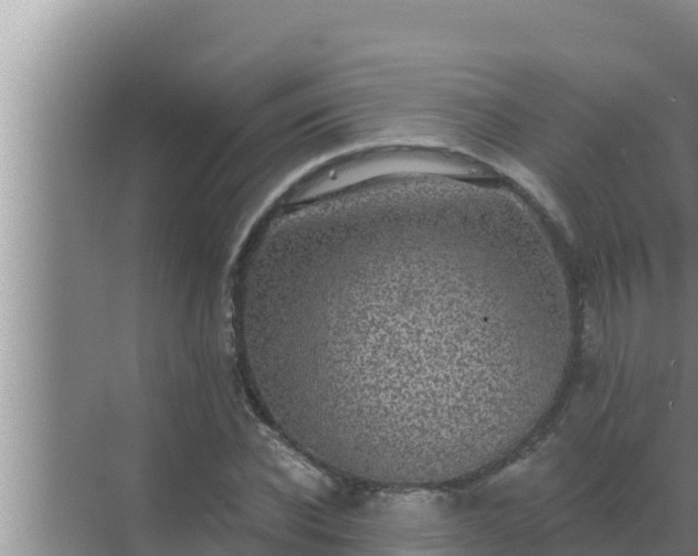 X0000072940926200607282159