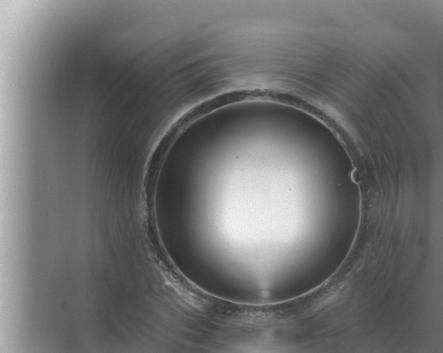 X0000072940927200607282159