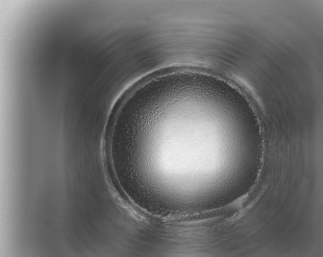 X0000072940928200607282159