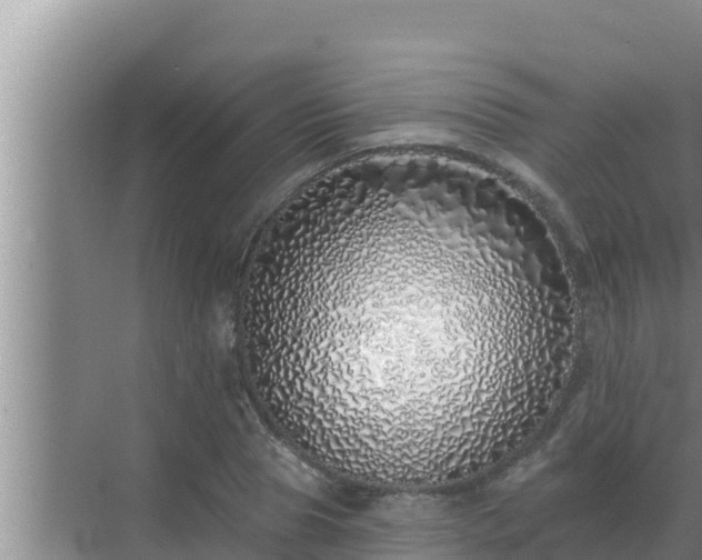 X0000072940929200607282159