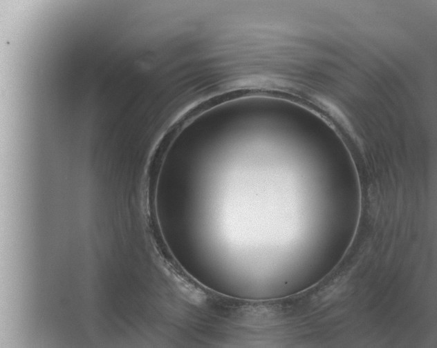 X0000072940931200607282159