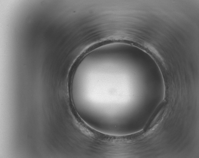 X0000072940934200607282159