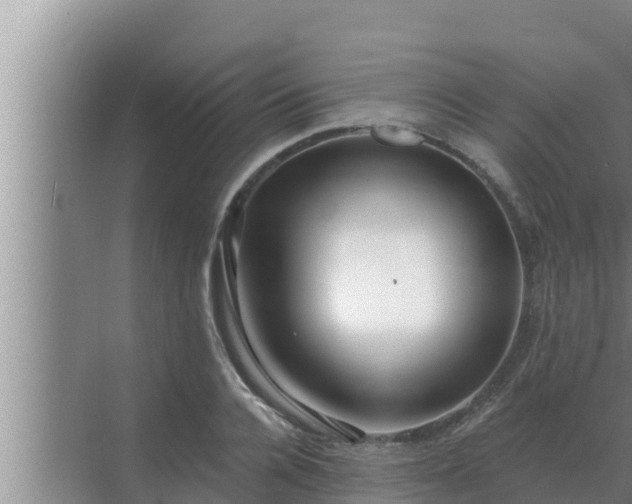 X0000072940936200607282159