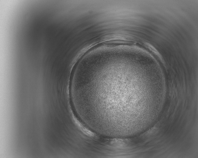 X0000072940938200607282159