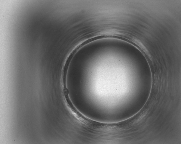 X0000072940939200607282159