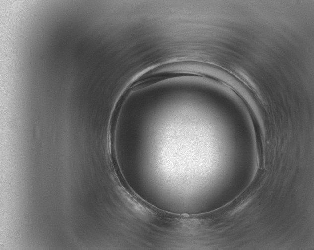 X0000072940940200607282159