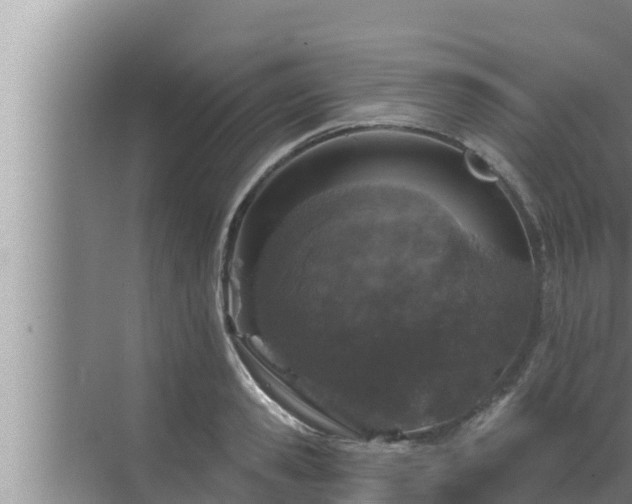 X0000072940941200607282200