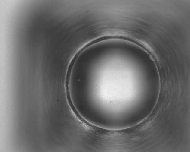 X0000072940943200607282200