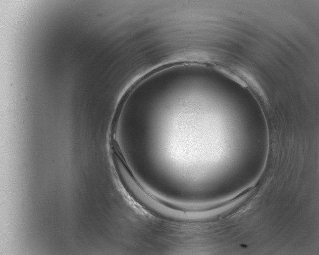 X0000072940944200607282200