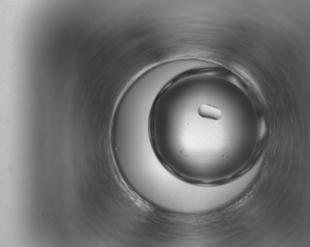 X0000072940948200607282200