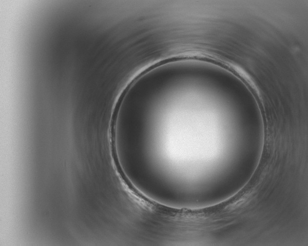 X0000072940951200607282200