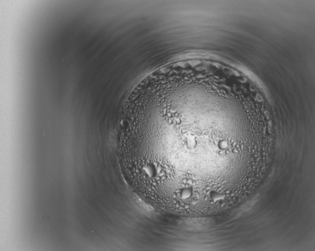 X0000072940953200607282200