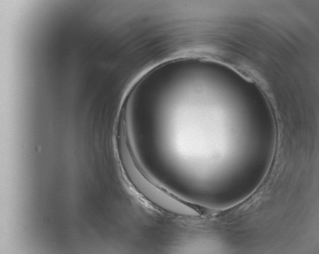 X0000072940960200607282200